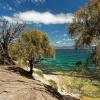 Tasmania - Maria Island o6498